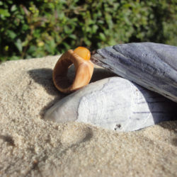 B&oslash;rne ring 003